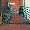 _derek_525